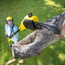Best Artificial Turf Installation  in Beale Af, CA